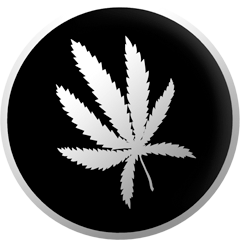 Every Herb Bearing Seed