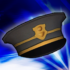 Police Blotter