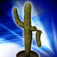 A Prickly Pair
