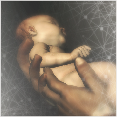 The Birth Of An Assassin