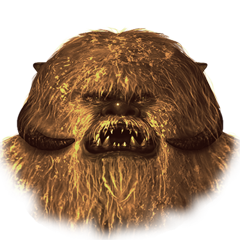 PETW Hates You