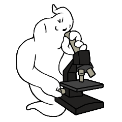 Spores, Molds, And Fungus